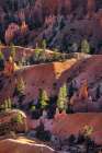 Early morning view of hoodoo formations Bryce Canyon National Park, Utah Art Print